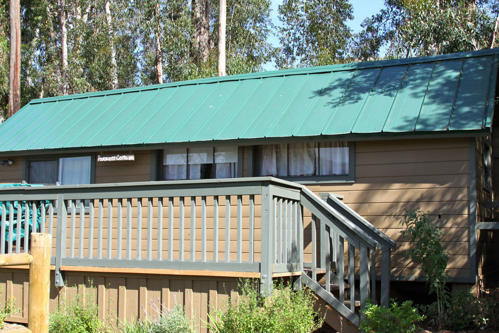 Bandy Canyon Ranch Escondido Exterior photo